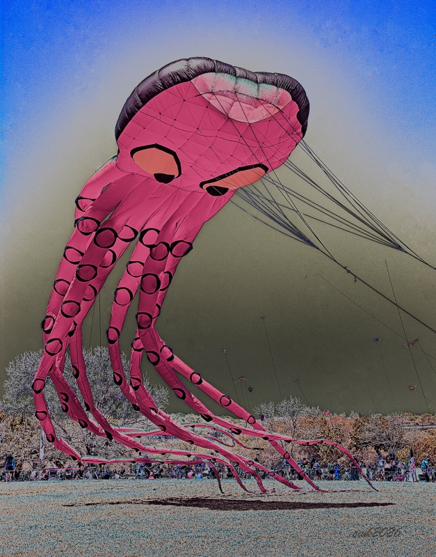 Danse Macabre, Zilker Kite Festival by artist Charlie Kreitler